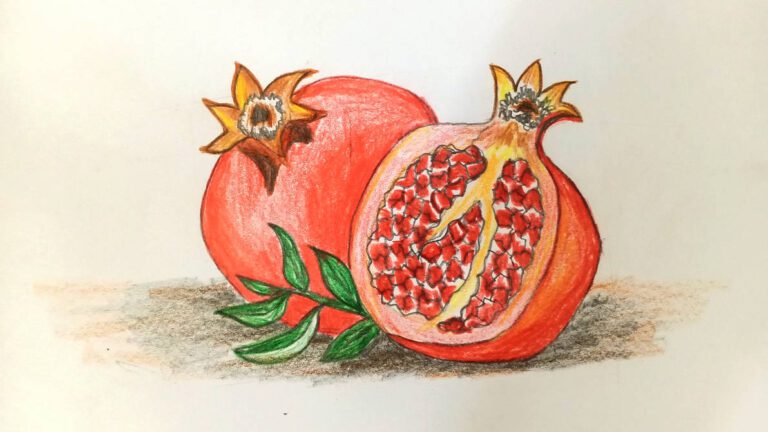 how_to_draw_pomegranate_step_by_step_by_drawingartificer_dfwwi2k-pre