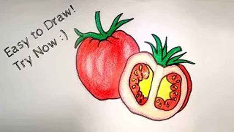 How to draw a realistic tomato using color pencils step by step