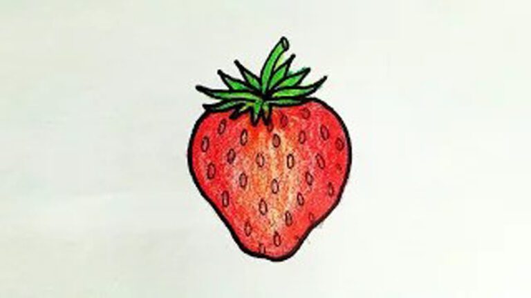 strawberry drawing for beginners