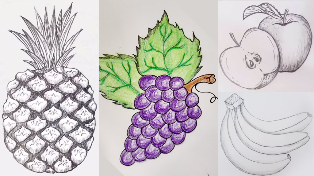 Easy Fruits Drawing