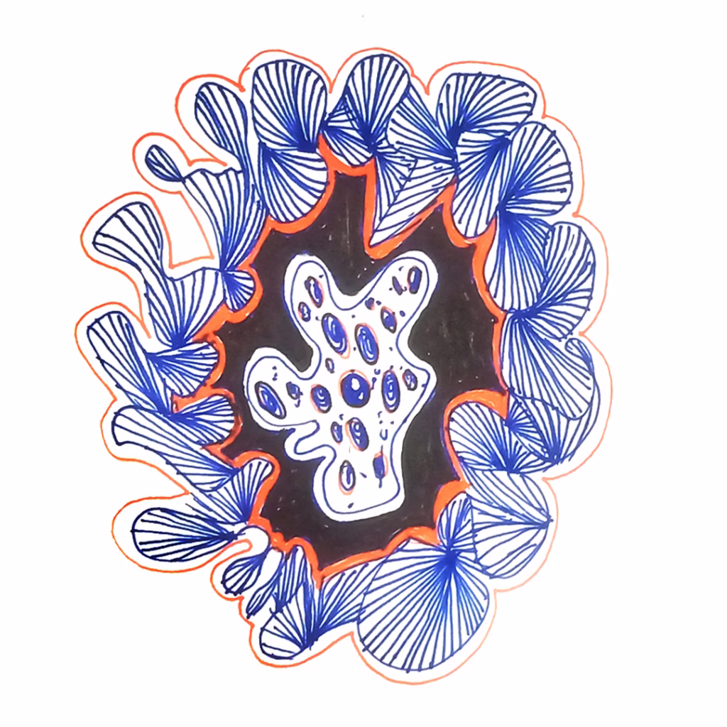MANDALA CREATE Your Own concept