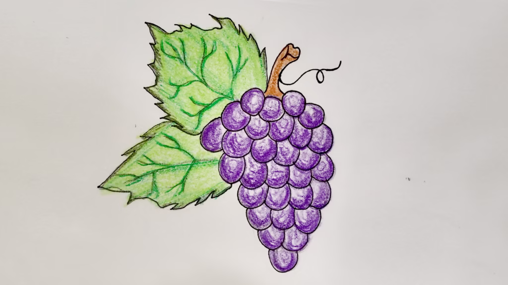 How to Draw Grapes