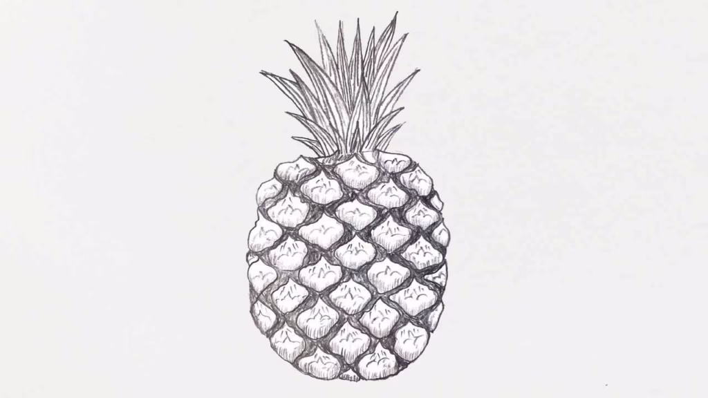 How to Draw Pineapple Fruits