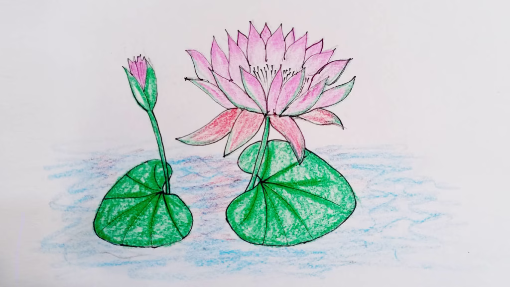 Easy Flower Drawing Ideas - Water lili drawing